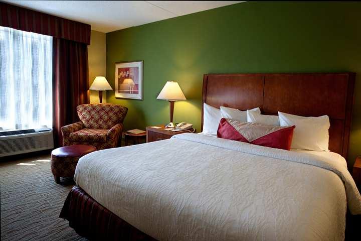 Hilton Garden Inn Atlanta Nw/Kennesaw-Town Center Oda fotoğraf